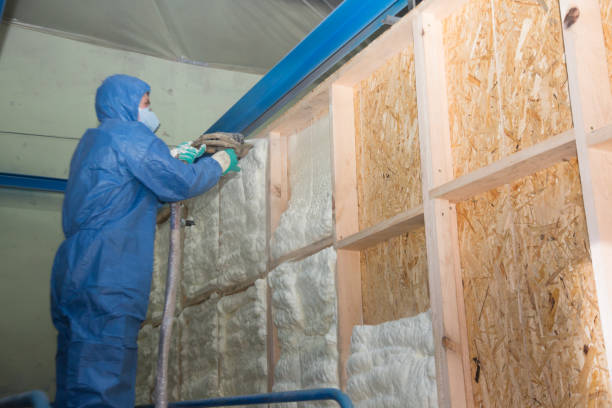 Garage Insulation Installation in Orchards, WA