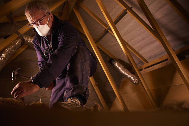 Best Insulation Contractors for Homes  in Orchards, WA